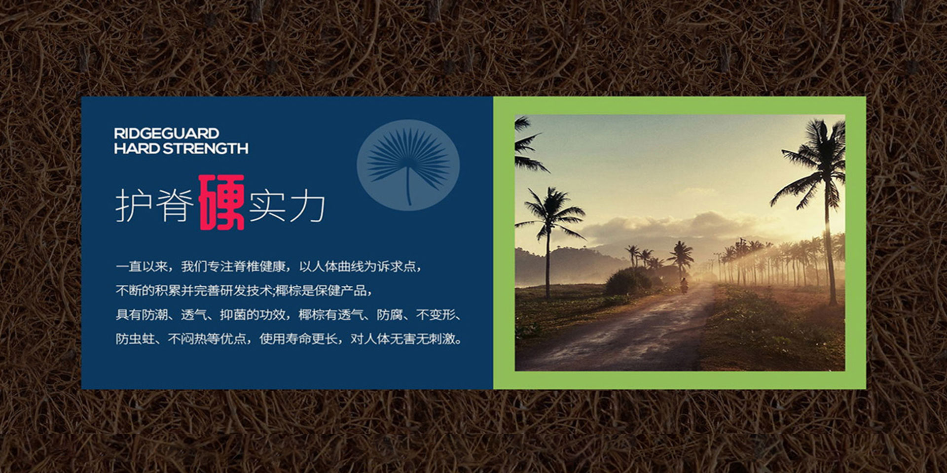 黄瓜视频官网
