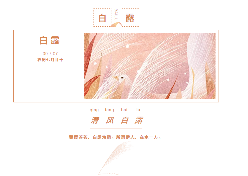 黄瓜视频官网